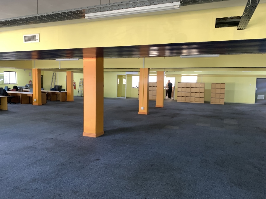 To Let commercial Property for Rent in Rondebosch Western Cape